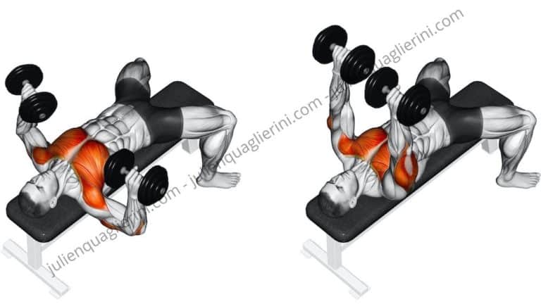 How to perform the dumbbell bench press?