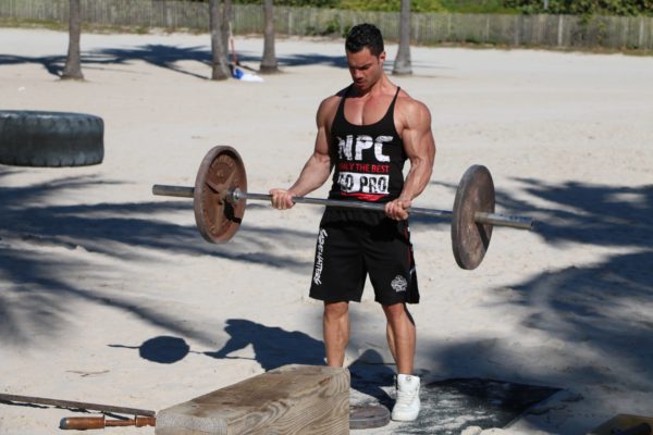 barbell curl standing biceps curl
