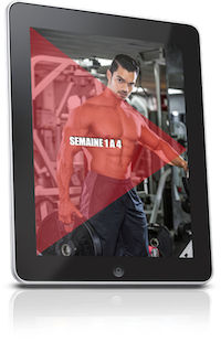entrainement musculation