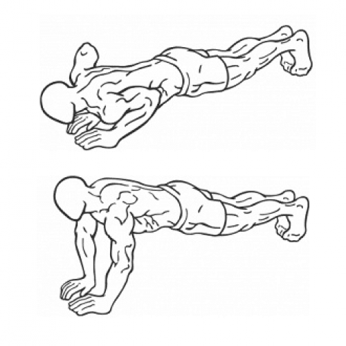 Pompes diamant Le meilleur exercice pour les triceps et pectoraux