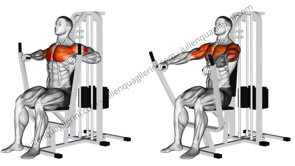seated barbell press
