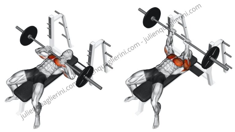 Bloc De Développé Couché En Mousse EVA - 4 Hauteurs Réglables - Pour Entraînement Pectoraux Et Bras