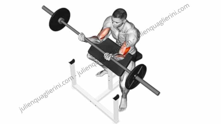 How to do the EZ bar curl at the desk?