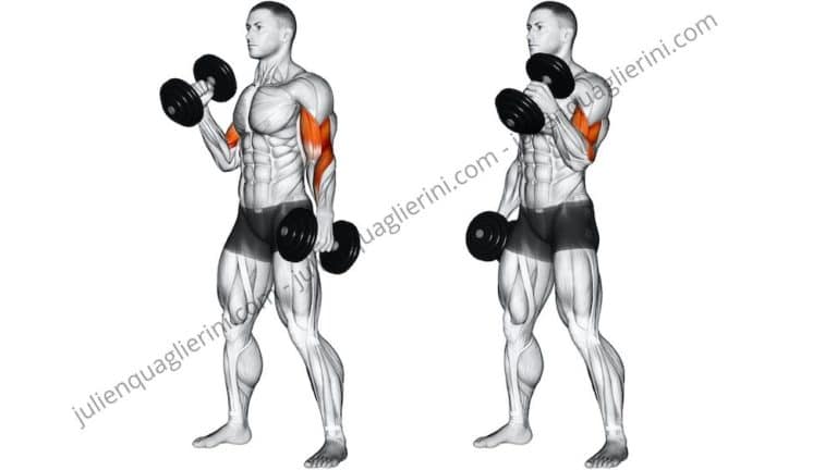 How to do a curl rotation with dumbbells?