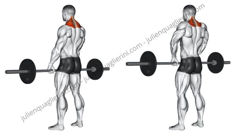 How to do the Shrugs at the bar or guided bar?