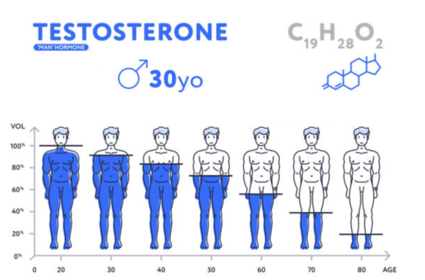 testostérone age
