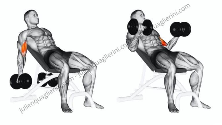 How to do the inclined curl with dumbbells?