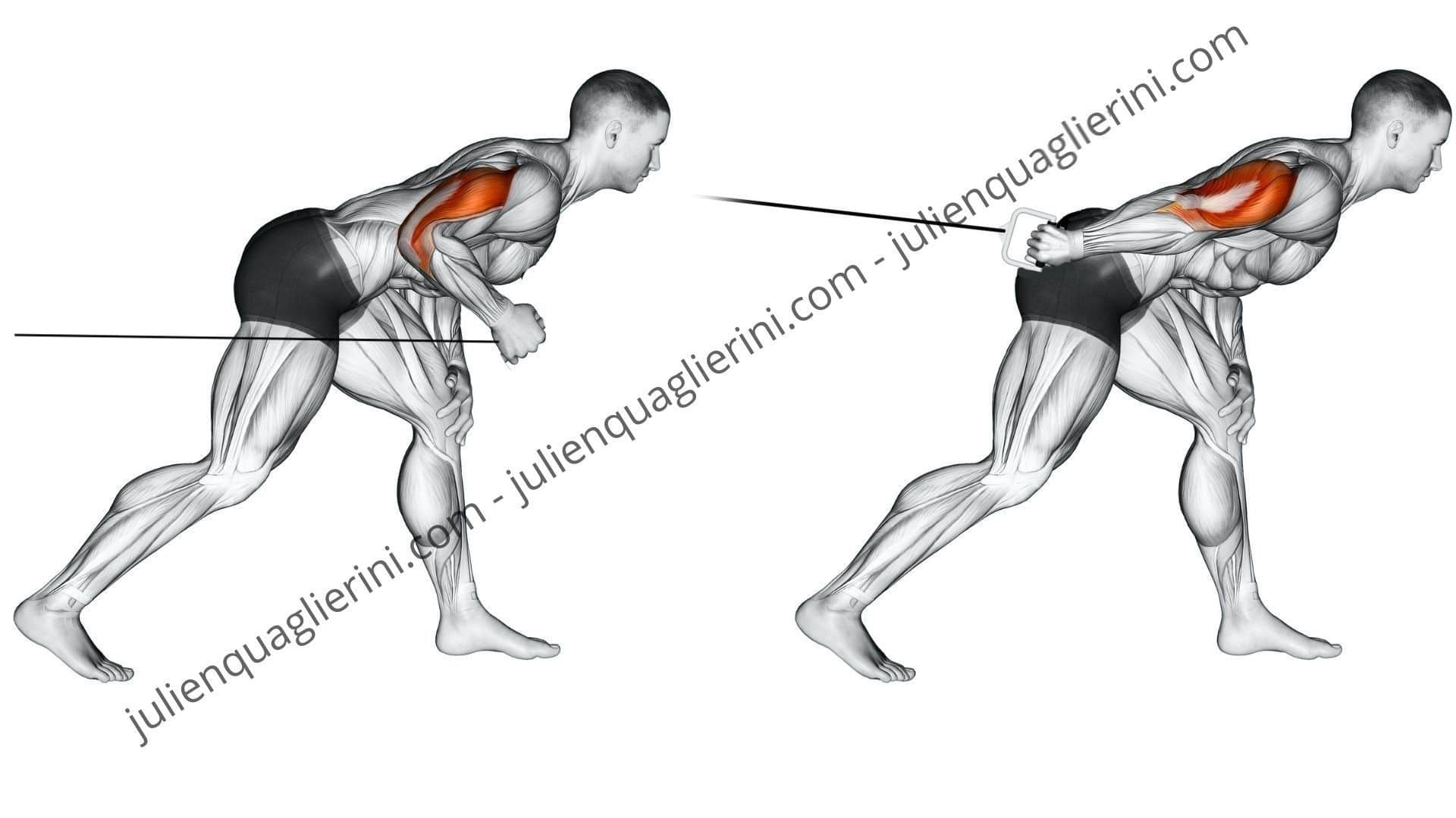 How to perform the pulley kickback exercise correctly?