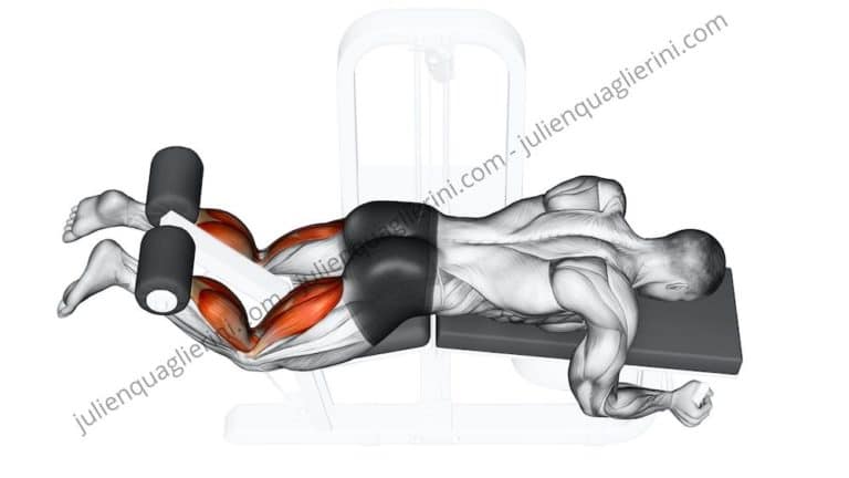 How to do the Leg Curl lying down?