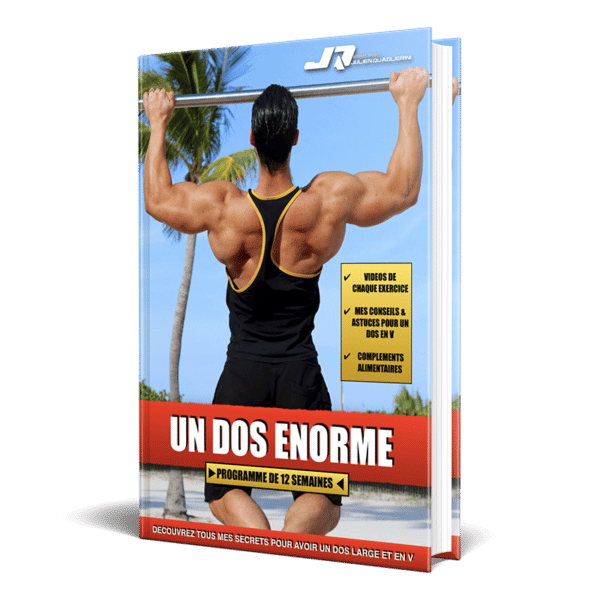programme musculation dos