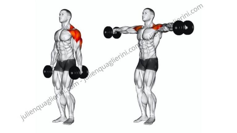 How to do the Dumbbell Lateral Raises?
