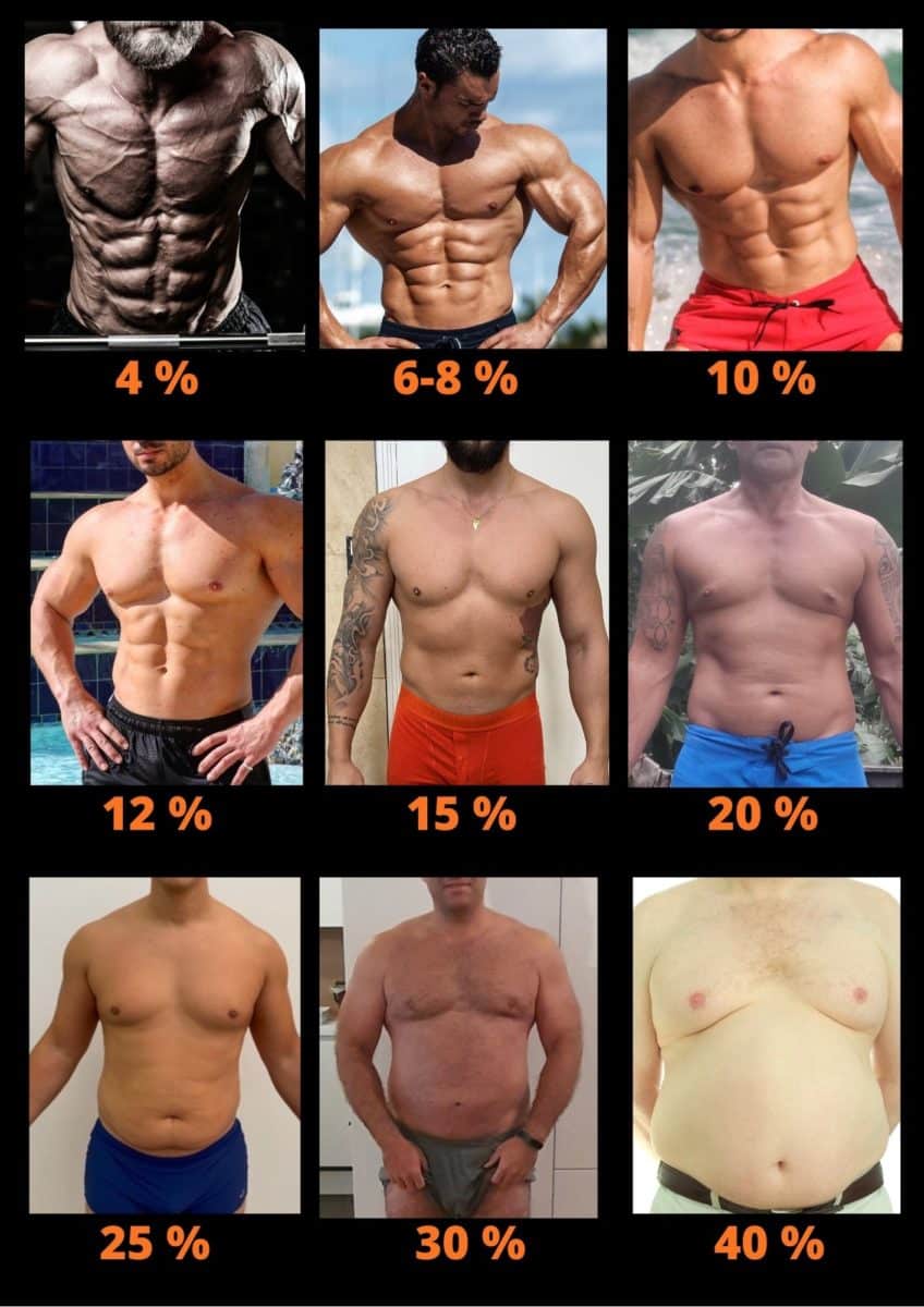 percentage of body fat