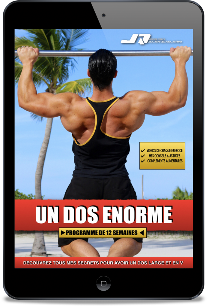 MUSCULATION DOS