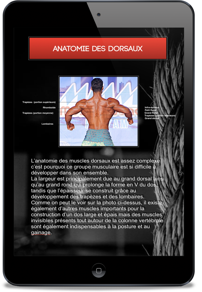 ANATOMIE DOS