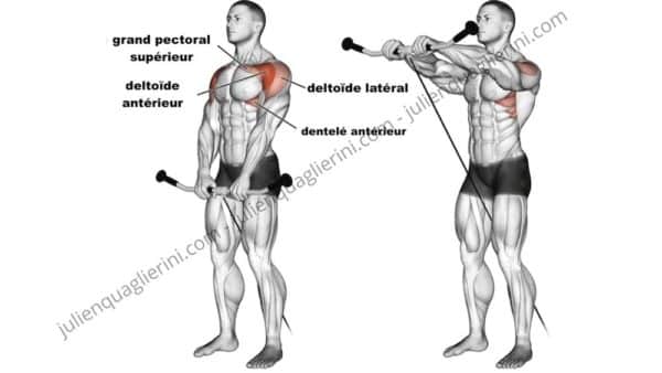 Élévations frontales poulie basse à la corde : musculation épaules