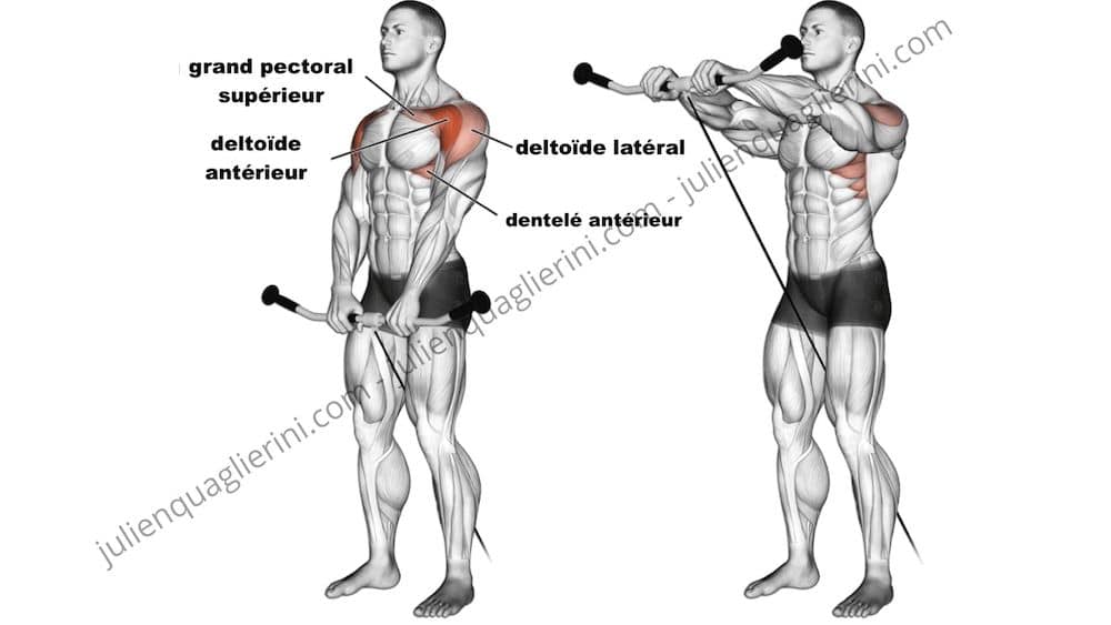 Musculation des épaules : Les élévations frontales à la poulie corde 