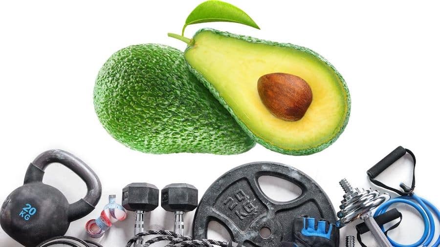 avocado bodybuilding
