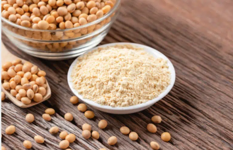 Overview of soy protein in bodybuilding