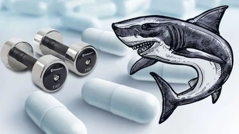 Why consume shark cartilage in bodybuilding?