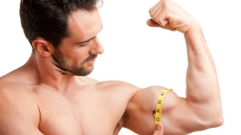 Know your arm circumference: are your biceps average?