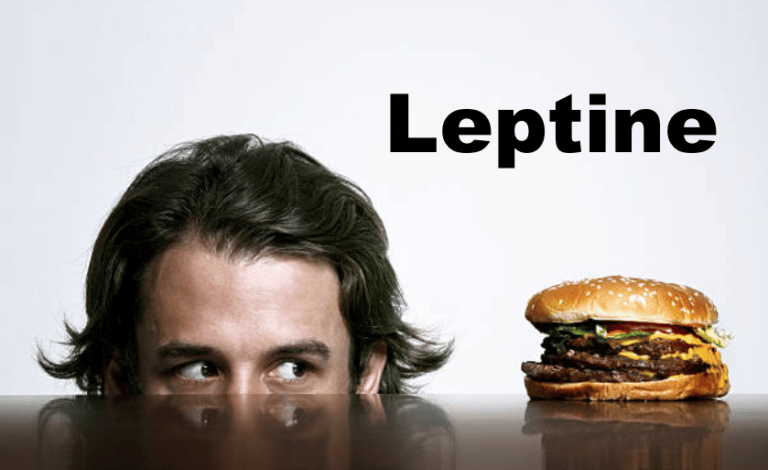 Understanding leptin to lose weight fast