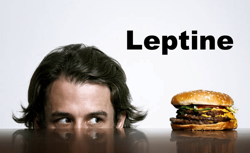 A man looks at a hamburger, tempted to eat it. The word leptin is written in the upper right-hand corner.