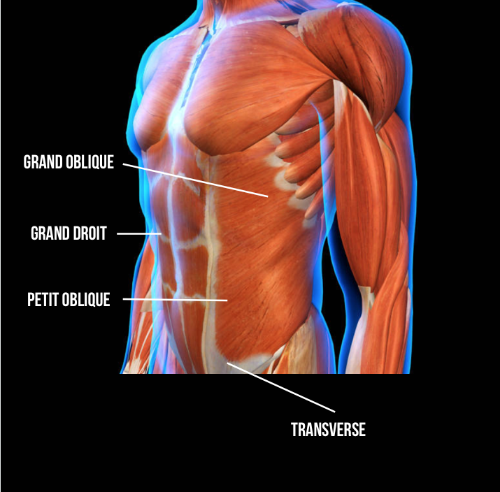 Stomach vacuum Practice this breathing exercise and slim down your waist