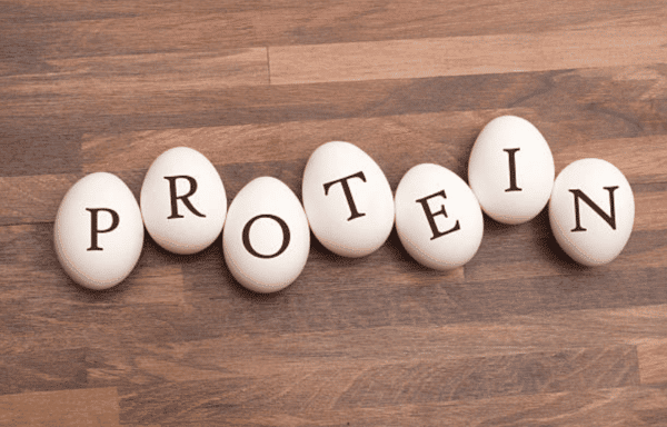 Quel dosage de protéines pour la Musculation ? - FitnessBoutique