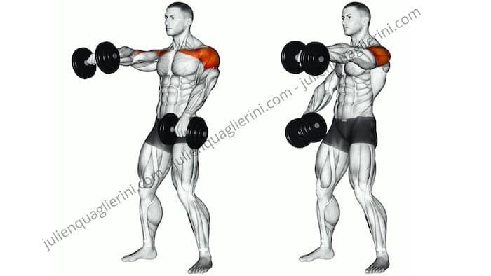 How to do front raises with dumbbells?