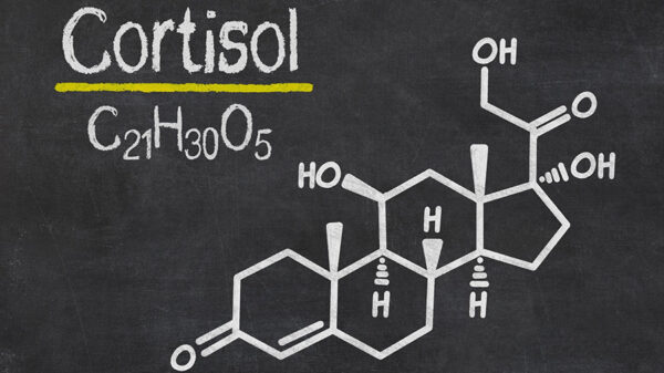 Comment maîtriser le cortisol pour optimiser le gain musculaire ?