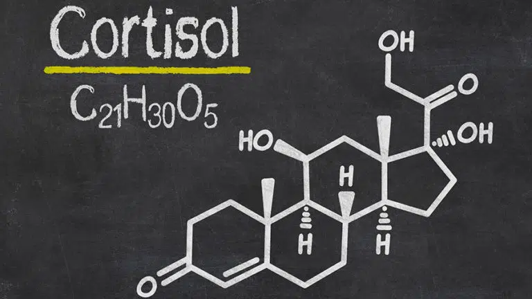 Cortisol and bodybuilding: how to control it to gain muscle?