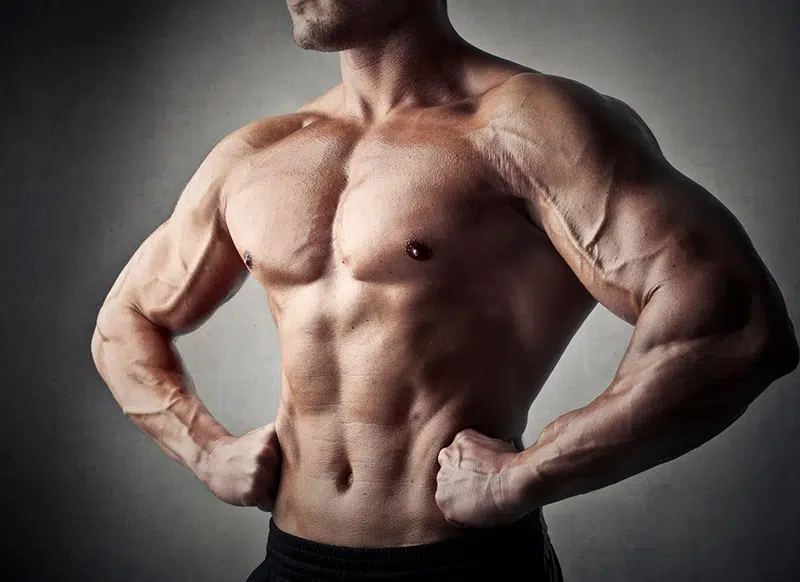 collagène musculation