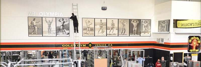 Les photos des légendes du concours Mr Olympia trônent à l'intérieur du Gold's Gym.