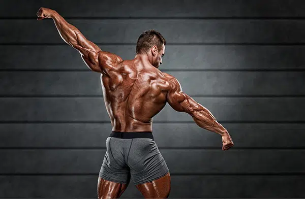 Un bodybuilder en train de poser de dos, les muscles apparents.