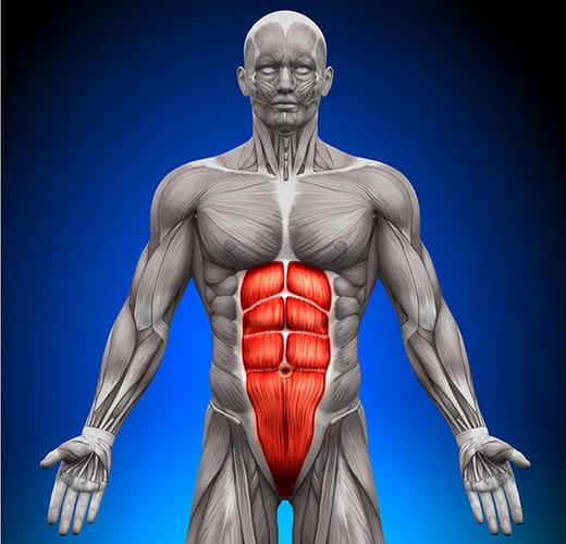 L'anatomie d'un corps humain avec une zone rouge désignant la sangle abdominale et le plancher pelvien.