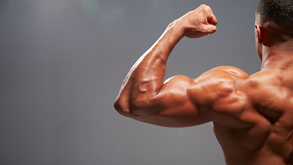 Un homme torse nu, de dos, contracte le muscle biceps de son bras gauche.