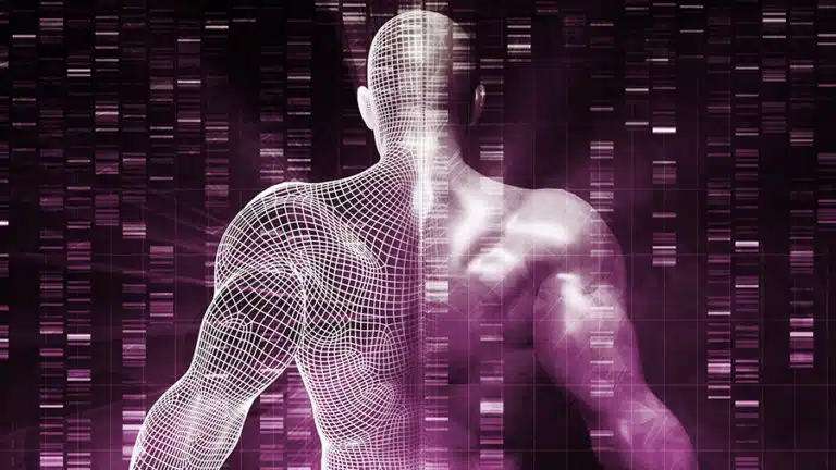 All about genetic predisposition in bodybuilding