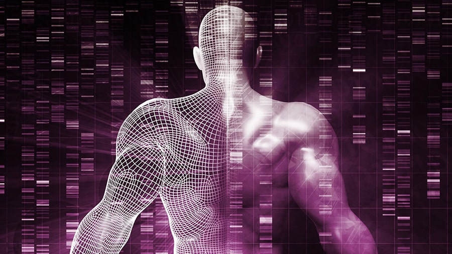 La silhouette d'un homme de dos pour montrer l'incidence de la génétique en musculation.