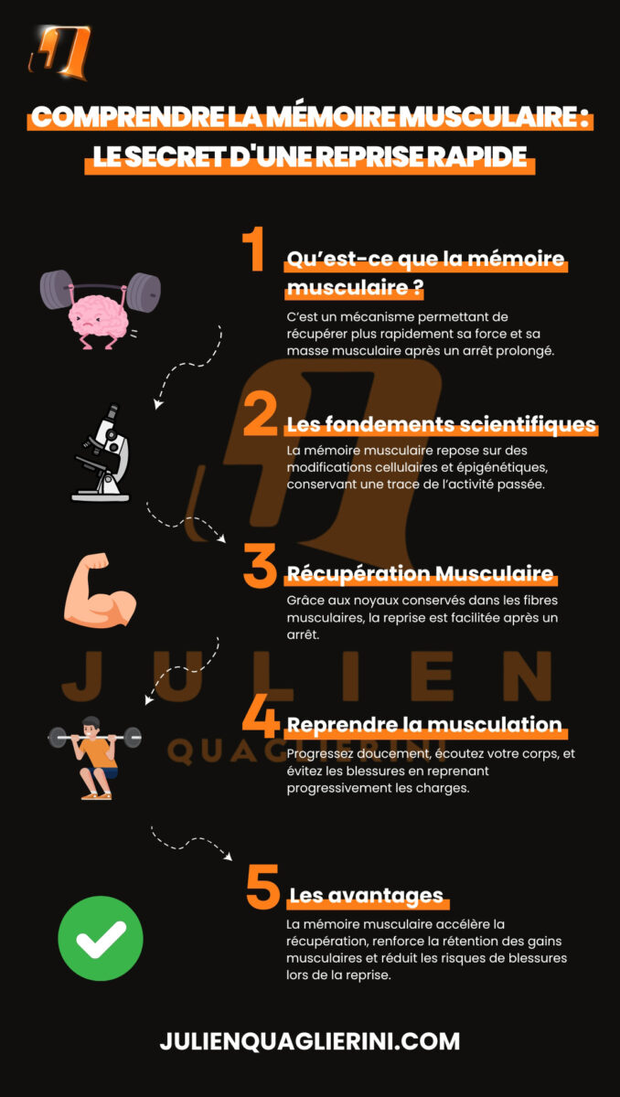 Une infographie permettant de comprendre le rôle de la mémoire musculaire après un arrêt sportif en 5 points.