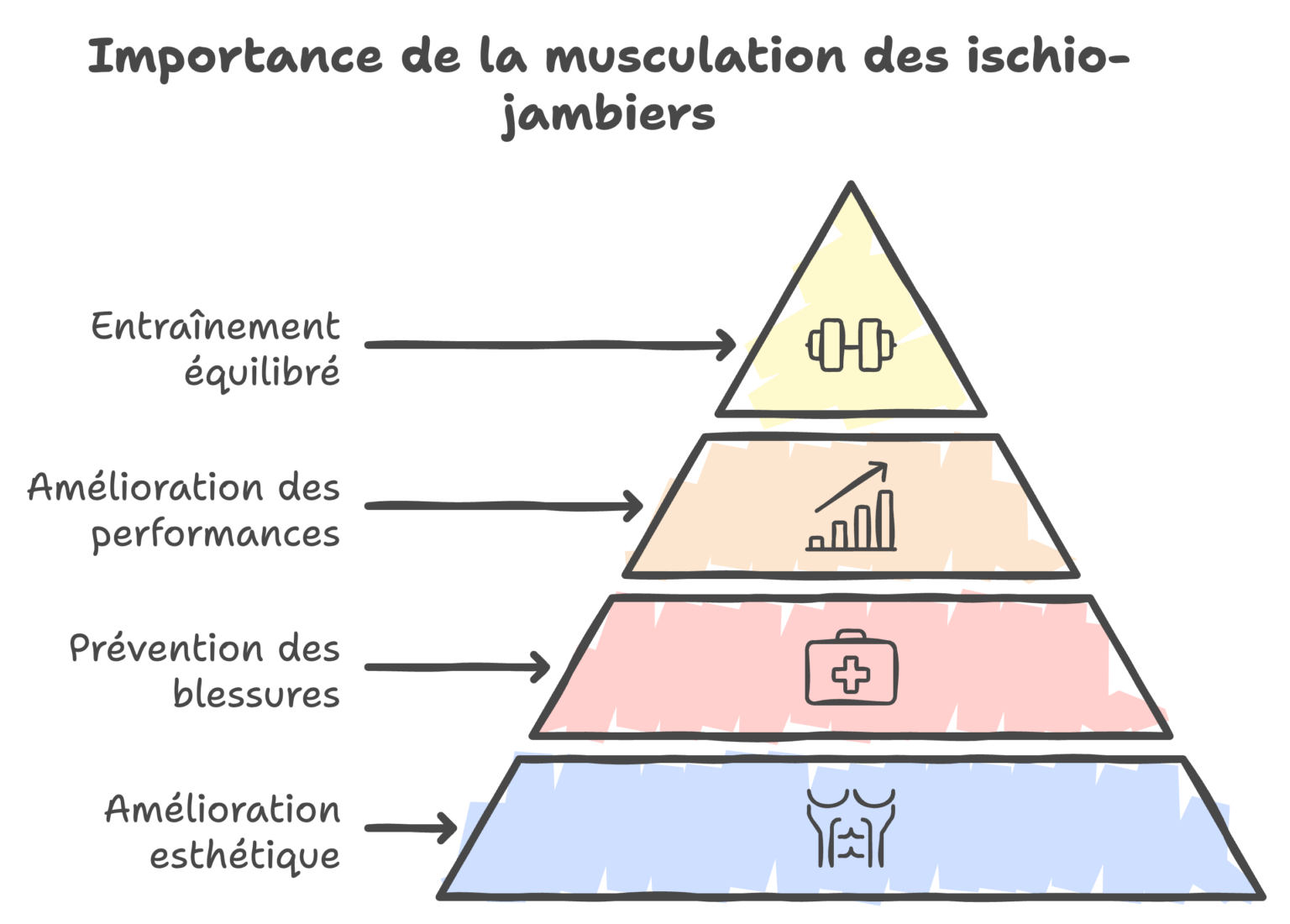 Top 8 exercices ischio-jambiers efficaces