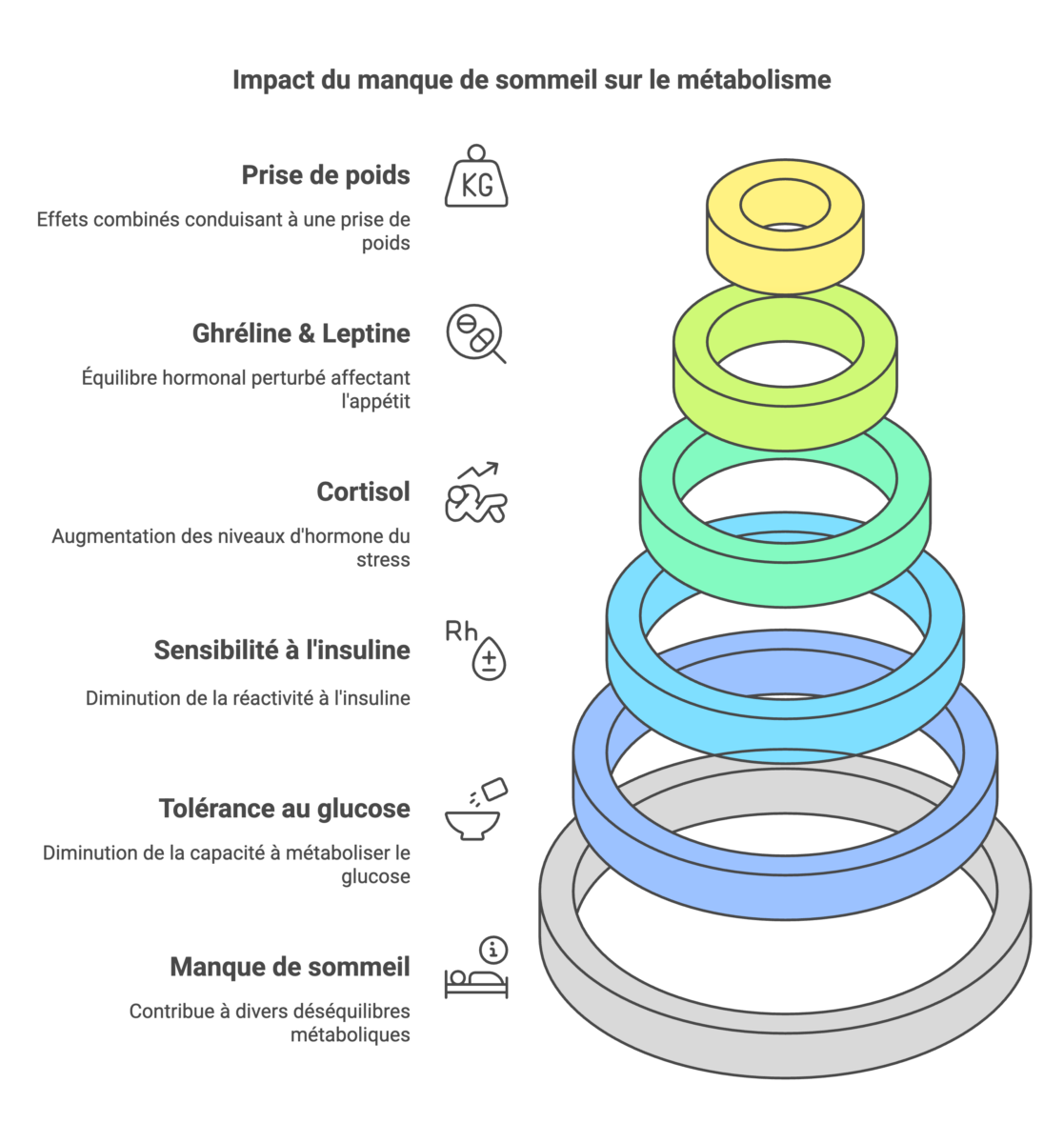 Un schéma représentant les différents impacts d'un manque de sommeil sur le métabolisme.