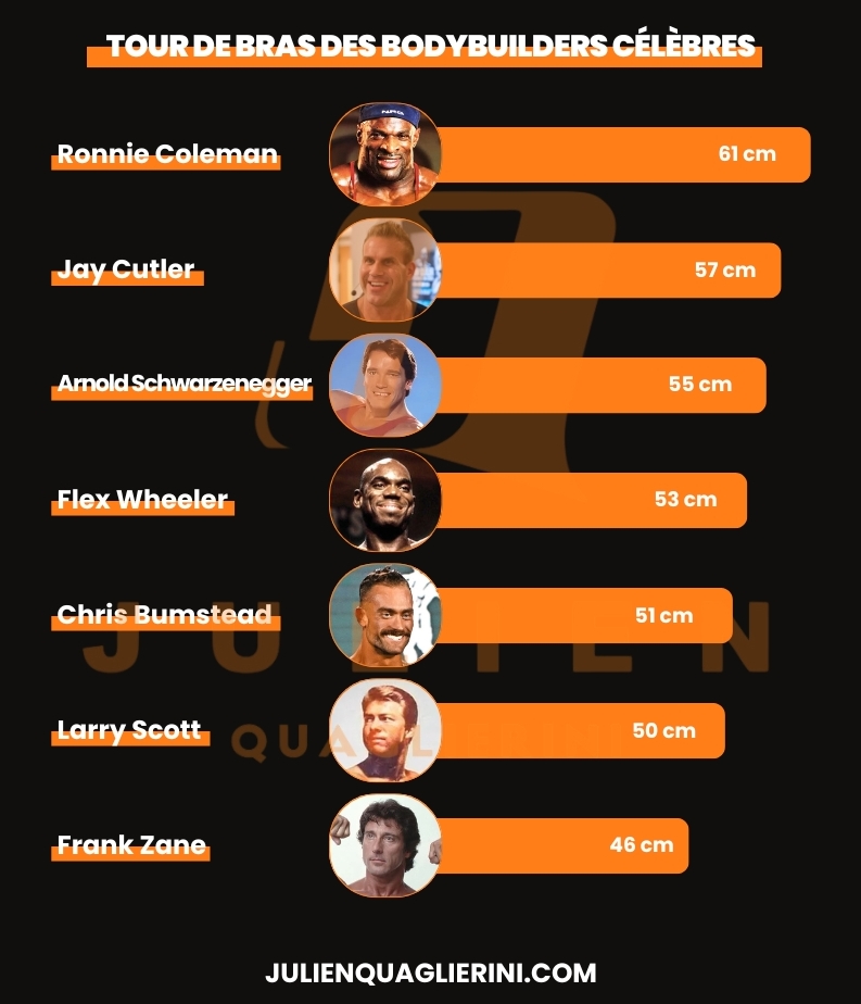Une infographie présentant le classement des bodybuilders professionnels célèbres ayant le tour de biceps le plus élevé.